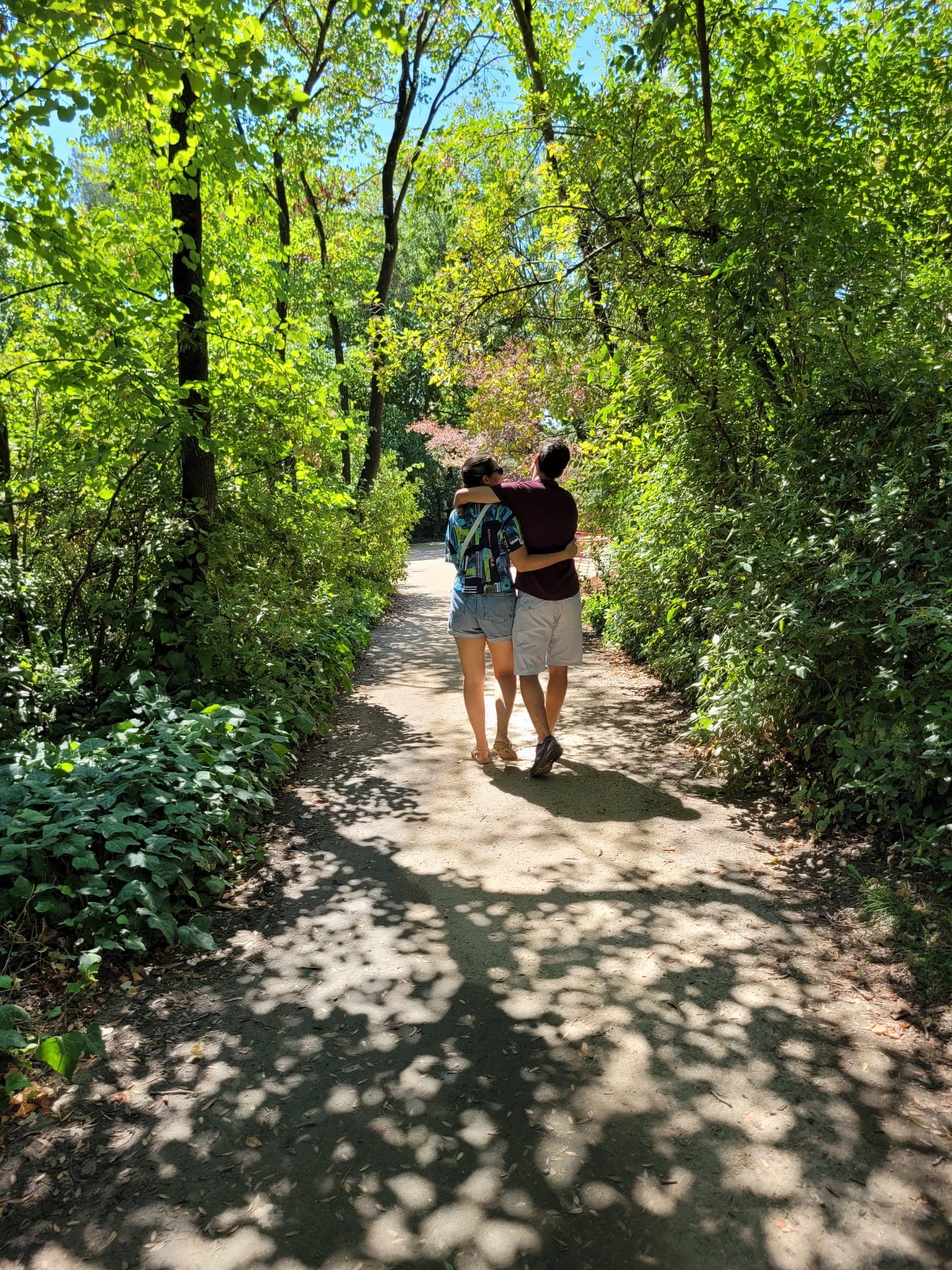 Imagen de nos vemos pronto